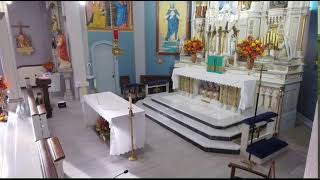 Daily Mass Oct 30th 2024  30th Week in Ordinary Time [upl. by Eirrot]