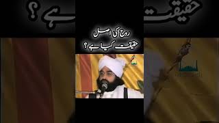 Pir Naseer uddin Naseer  روح کی اصل حقیقت کیا ہے ؟  Golra Sharif 2024 [upl. by Regan135]