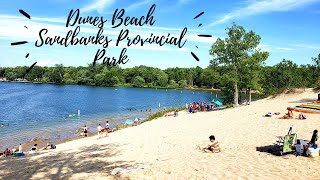 Dunes Beach Sandbanks Provincial Park in 4k Ontario Provincial Parks  Best Beach in Ontario [upl. by Wilber686]