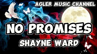 Shayne Ward  No Promises Lyrics AglerMusicChannel [upl. by Faina]