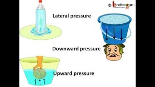 Physics  Understanding liquid pressure  English [upl. by Ronym348]