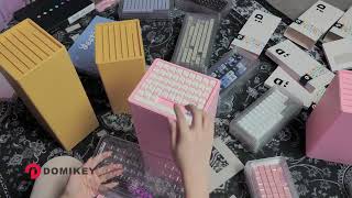 Domikey Keycap Storage Box filmed by XIXI [upl. by Akinhoj993]