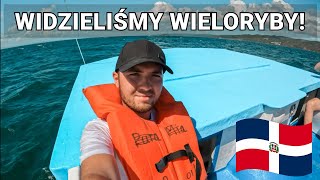 Dominikana wieloryby  Cayo Levantado Samana  rodzina wielorybów  Dominikana vlog 6 🇩🇴 [upl. by Florina]