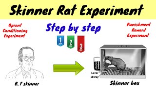 Skinner Rat experiment  Oprent Conditioning  Punishment amp Reward  hindiurdu [upl. by Luapnhoj286]