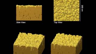 Growth of microstructured gold thin films deltatype microstructure [upl. by Neyud]