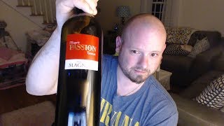 Wine Review Domaine de Magnaut lEsprit Passion Tannat 2014  TheWineStalkernet [upl. by Russi]