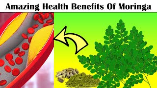 Amazing Health Benefits Of Moringa Drumstick Tree Eat Moringa Everyday To Get These Benefits [upl. by Names]