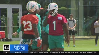 A look ahead to Dolphins training camp [upl. by Ahsieym]