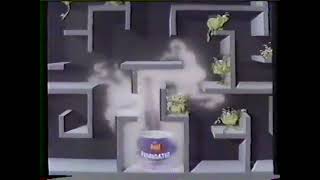 Raid Fumigator Bug Fogger Commercial 1986 [upl. by Flip]