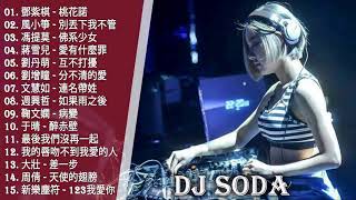 2018電音 DJ Soda Remix 好新歌推薦 慢搖  中文EDM Nonstop精选《桃花諾 ✘ 別丟下我不管 ✘ 佛系少女 ✘ 愛有什麼罪 ✘ 互不打擾》100首NonStop逆襲 [upl. by Lalitta]