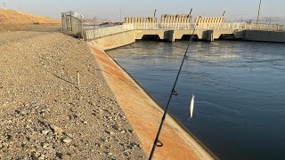 California Aqueduct fishing [upl. by Pontias]