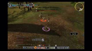 LOTRO Warden vs Guardian  EN Snowbourn [upl. by Avery]