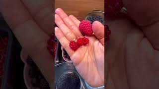 WineberryTayberry food fruit [upl. by Dexter]