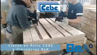 CEBE  Clavadoras de Tambor y Clavos en Rollo Fabricación de Pallets [upl. by Jacqueline]