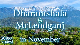 DHARAMSHALA │ LITTLE LHASA │ DHARAMSHALA TOURIST PLACES │McLEODGANJ TOURIST PLACES │ NOVEMBER [upl. by Notyard230]