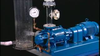 NASH Liquid Ring Vacuum Pump Reliability [upl. by Bernadine]