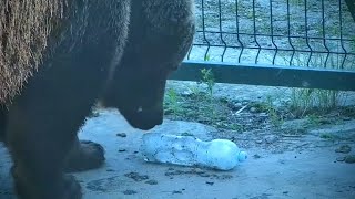 Мансур 🤎 Находит замороженную бутылку с водой Frozen water bottle 😊👀🧊 [upl. by Ydoj]