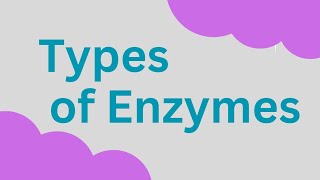 Types of Enzymes Isozyme Lysozyme Zymogens autocatalysis [upl. by Nnylassej]