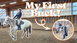 A CRAZY RIDING LESSON  I Fall Off and Breezy Bucks [upl. by Uzzi]