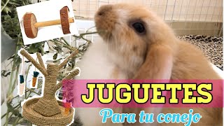 JUGUETES PARA CONEJOS [upl. by Rennie]