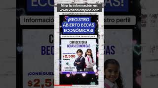 Convocatoria becas económicas conoce los requisitos y coml hacer tu solicitud [upl. by Kylie404]