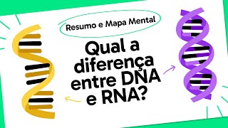 DNA E RNA  QUER QUE DESENHE  MAPA MENTAL [upl. by Ydisahc]