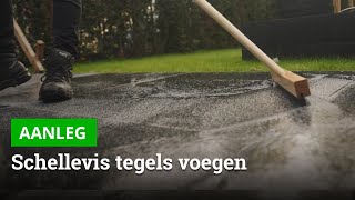 Schellevis tegels invoegen met LM Aqua voegmortel  Bestratingswebnl [upl. by O'Conner]