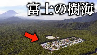 【衝撃】富士の樹海のど真ん中にポツンとある集落に行ってきた。住民は…？ [upl. by Stieglitz]