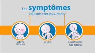 OMS Coronavirus du syndrome respiratoire du MoyenOrient [upl. by Duffy]