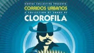 Nortec Collective Clorofila  Baby Rock Rock Audio [upl. by Massimiliano]