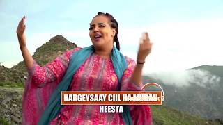 FARXIYA FISKA  HARGEISAAY CIIL HA MUDAN  MUUQAAL LAYAAB LEH  HORNSAT MUSIC SHOW LIVE [upl. by Kesia179]