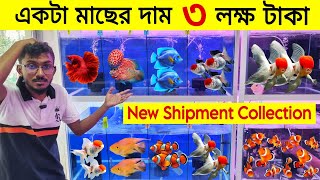 Aquarium Price In Bangladesh 🐠Aquarium Fish Price In Katabon 😱 Bangladesh Fish Market Price In BD [upl. by Edmee129]