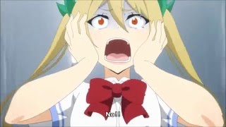 Netoge no Yome  Schwein loses it [upl. by Aihtennek]