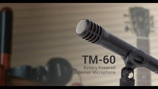 Review  Tascam TM60 [upl. by Ygiaf330]