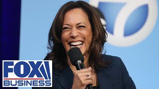 Voters share how they feel about Kamala Harris I think shes an idiot [upl. by Alaek396]