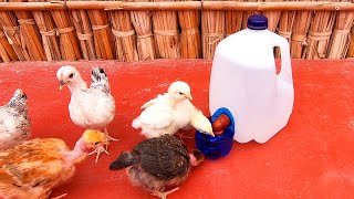 MIRA‼ Como hacer este Bebedero Automático para criar pollitos🐣🐥con botella de plástico descartable♻ [upl. by Azeret]