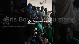 Gris Bordeaux au stade pour soutenir le Jaraaf [upl. by Kopple]