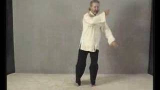 Part 21 Learn Tai Chi Free Long Form Montaigue [upl. by Lathrop258]