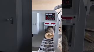 चाइना मे बडे बडे लकडी की सिल्ली को कैसे काटते है How to cut large wooden blocks in chi shortvideo [upl. by Ezri674]