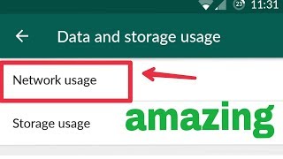 WhatsApp  How To Use Network Usage Option In WhatsApp [upl. by Hairahs120]