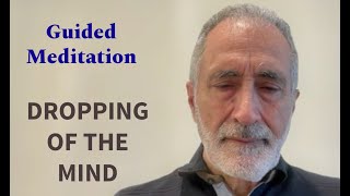 Guided Meditation Dropping of the mind nonduality meditation [upl. by Aon]