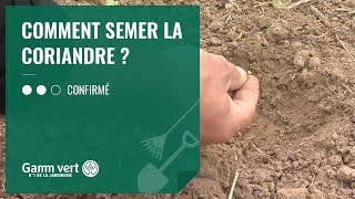 TUTO Comment semer la coriandre   Jardinerie Gamm vert [upl. by Walsh]