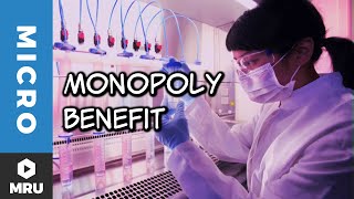 The Costs and Benefits of Monopoly [upl. by Nimrahc]