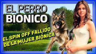 El Perro BIÓNICO🔴 Resumen y Curiosidades THE BIONIC DOG [upl. by Kavanaugh750]