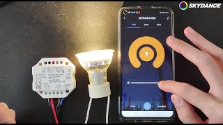 How to use the TUYA app to match the led dimmer  wifi controller S1BWT [upl. by Marilyn410]