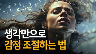 생각으로 감정을 조절하는 법  당신의 감정에는 당신만의 사연이 있다 [upl. by Lavern25]