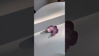 DIY  Un rangement pour clés orchidée 🌸 [upl. by Paradies117]