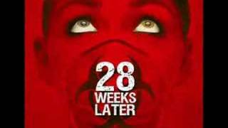 28 Weeks Later amp 28 Days Later theme song by John Murphy [upl. by Cristen]