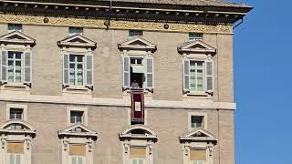 Pope Francis Sunday mass Rome [upl. by Yevreh691]