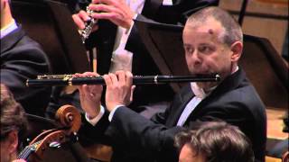 Michael HaselBerliner Philharmoniker Brahms Sinfonie Nr 1 4 Satz [upl. by Og]